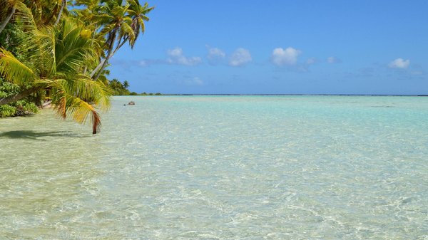 Gîtes de dernière minute : Tout ce qu'il faut savoir pour une réservation réussie!