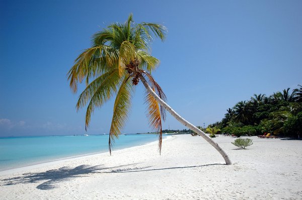 Bien-être en Bretagne: les meilleurs spas et centres de thalassothérapie